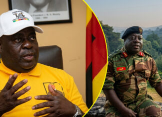 Chiwenga’s ally, General Rugeje refuses to be appointed Zimbabwe’s ambassador to Mozambique following Nyikayaramba and Matemadanda’s deaths