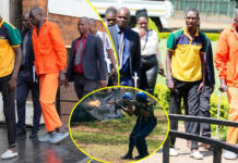 He escaped after police shot him 4 times: The trap detectives used to capture the $108,000 heist armed robber (VIDEO)