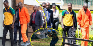 He escaped after police shot him 4 times: The trap detectives used to capture the $108,000 heist armed robber (VIDEO)