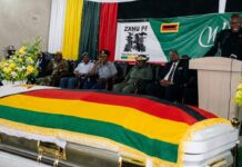 Another ZANU PF senior official collapses at Highland Park Shopping Mall and dies