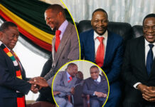 Prophet Makandiwa, President Mnangagwa, US$2 million cash and the food poisoning incident (WATCH VIDEOS)