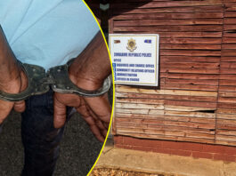 CHIBABA CHEKUBA: Bulawayo thief breaks-in then steals at Police Station… and a list of cops accused of stealing from the police