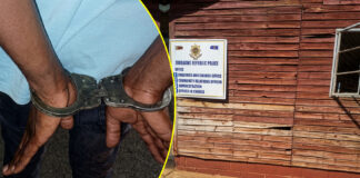 CHIBABA CHEKUBA: Bulawayo thief breaks-in then steals at Police Station… and a list of cops accused of stealing from the police