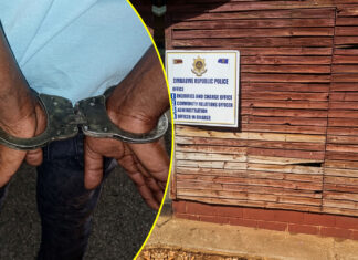 CHIBABA CHEKUBA: Bulawayo thief breaks-in then steals at Police Station… and a list of cops accused of stealing from the police