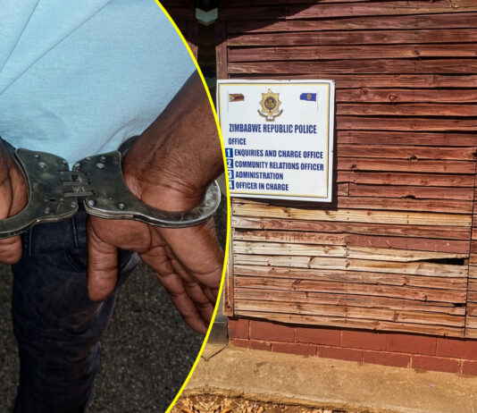 CHIBABA CHEKUBA: Bulawayo thief breaks-in then steals at Police Station… and a list of cops accused of stealing from the police