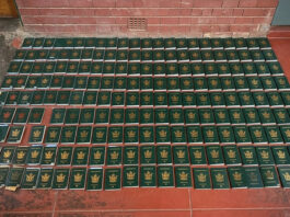 Zim man caught running a massive Home Affairs fake office, issuing Passports, Driving Licences & Firearm Permits in Joburg flat