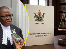 Tendai Biti breathes fire over plot to make Zimbabwe a monarchy as War Vets vow to fight and reverse CAA3