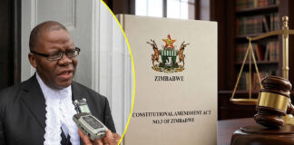 Tendai Biti breathes fire over plot to make Zimbabwe a monarchy as War Vets vow to fight and reverse CAA3