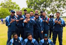 Zimbabwe Proposed as an Esports Powerhouse by 2030