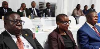 General Rugeje Finally Accepts Mozambique Diplomatic Job as Mnangagwa Axes Half of Zim’s Ambassadors In Massive Global Shake-Up!