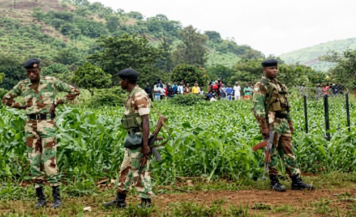 army soldiers holding ak-47 guns in maize field land dispute with villagers