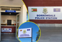 Borrowdale Police Station Officers in Armed Robbery and Cover-Up Scandal: Inside the Terrifying Midnight Robbery by 6 Cops