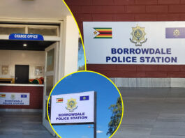 Borrowdale Police Station Officers in Armed Robbery and Cover-Up Scandal: Inside the Terrifying Midnight Robbery by 6 Cops