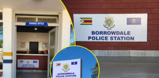 Borrowdale Police Station Officers in Armed Robbery and Cover-Up Scandal: Inside the Terrifying Midnight Robbery by 6 Cops