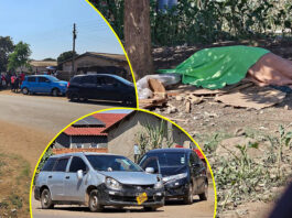 Harare driver instantly kills Budiriro vendor and destroys her musika with his mushikashika