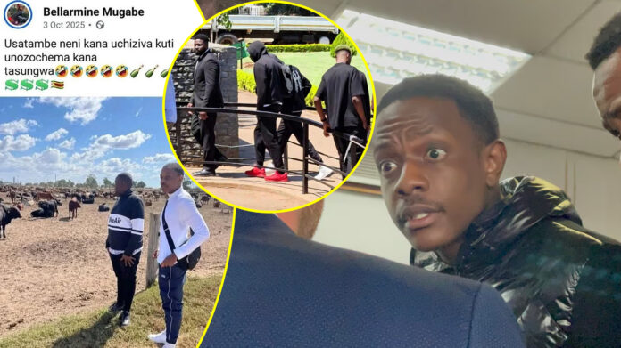 chatunga mugabe usatambe neni kana uchizochema kana tasungwa