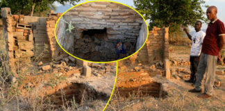 She Welcomed Him After Prison: Man murders & chops grandmother’s body… skull, teeth and ribs found dumped in toilet