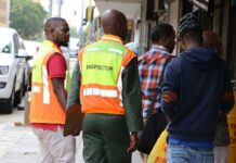 Zimbabwe government BANS foreigners from operating in following sectors, licences of some companies to be revoked