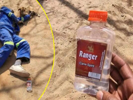 HE DIED AT THE BUS STOP: Man joins his ancestors after drinking 2 bottles of tumbwa worth US$1