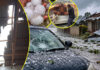 President Mnangagwa declares State of Disaster as deadly flash floods destroy 8500 homes and damage cars