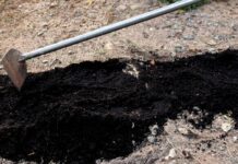 Witchcraft shocks Chief Neromwe: They killed her with lightning then dug her grave and stole items she was buried with