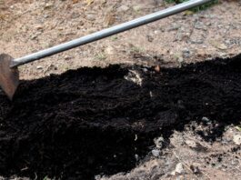 Witchcraft shocks Chief Neromwe: They killed her with lightning then dug her grave and stole items she was buried with