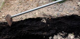 Witchcraft shocks Chief Neromwe: They killed her with lightning then dug her grave and stole items she was buried with