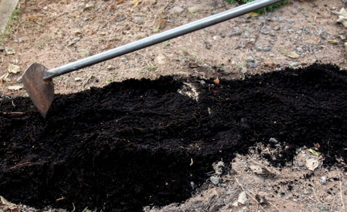 shallow grave dug digging