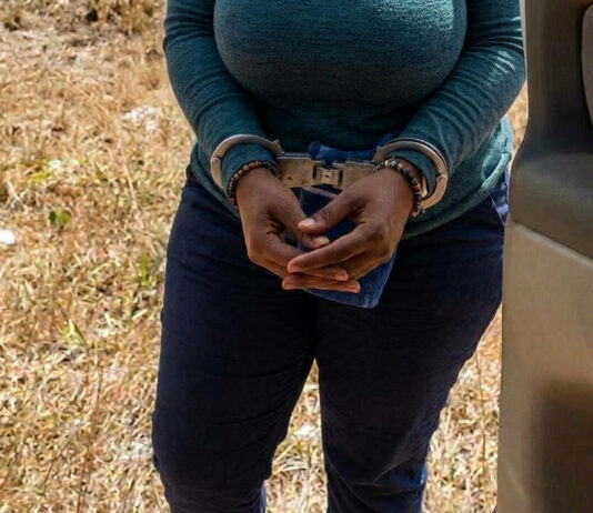 How Woman Betrayed Her Husband and His Friend to Police After 10 Bloody Armed Robbery Raids in Harare